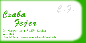 csaba fejer business card